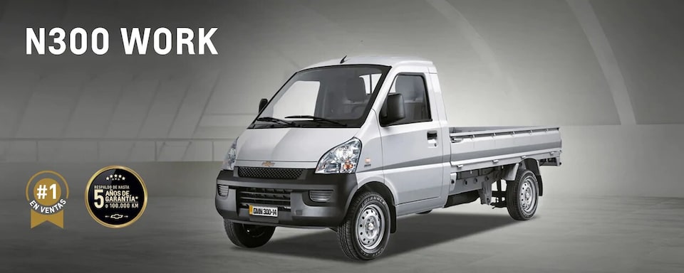 N300 work-pick up- MH - Specs