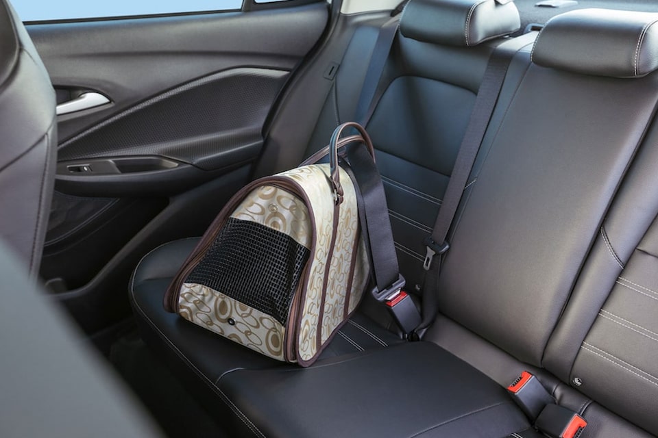 Chevrolet Colorado z71 - Accesorios - Mascotas